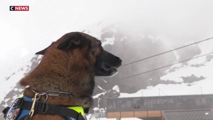 Lutte contre la drogue dans les stations de ski françaises