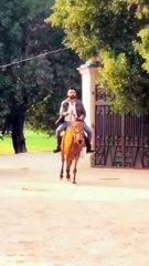 Experience the thrill of horse riding 😍