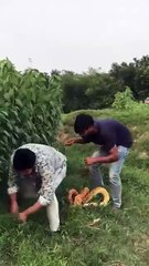 Watch What Happens When Fakes a Cobra Attack! #pranksterrahul