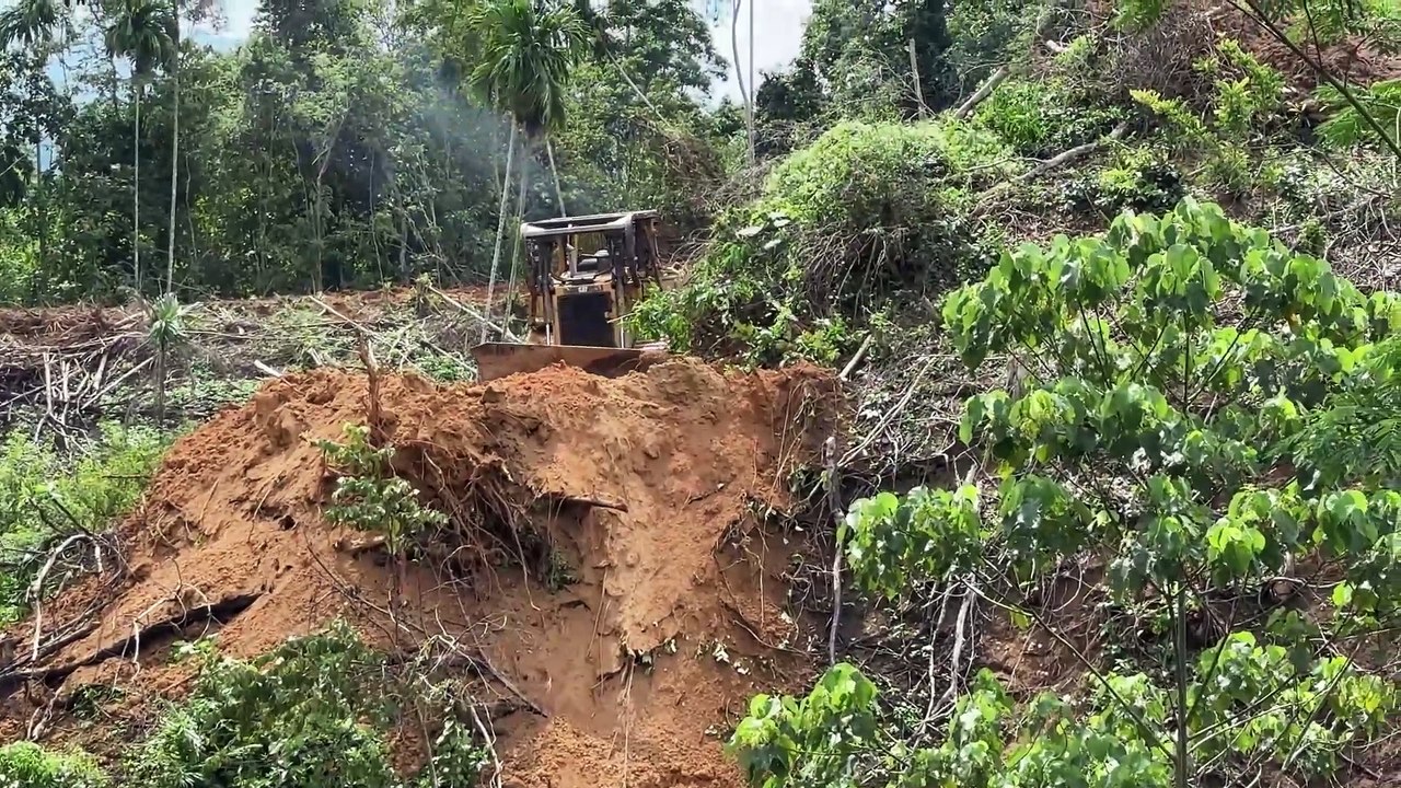 D6R XL Bulldozer Action Forms Palm Terraces on Difficult Mountainsides