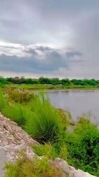 Dariya-e-Sindh #maxrecords #larkana #sindh #pakistan #villagelife #nature #village #sindhi