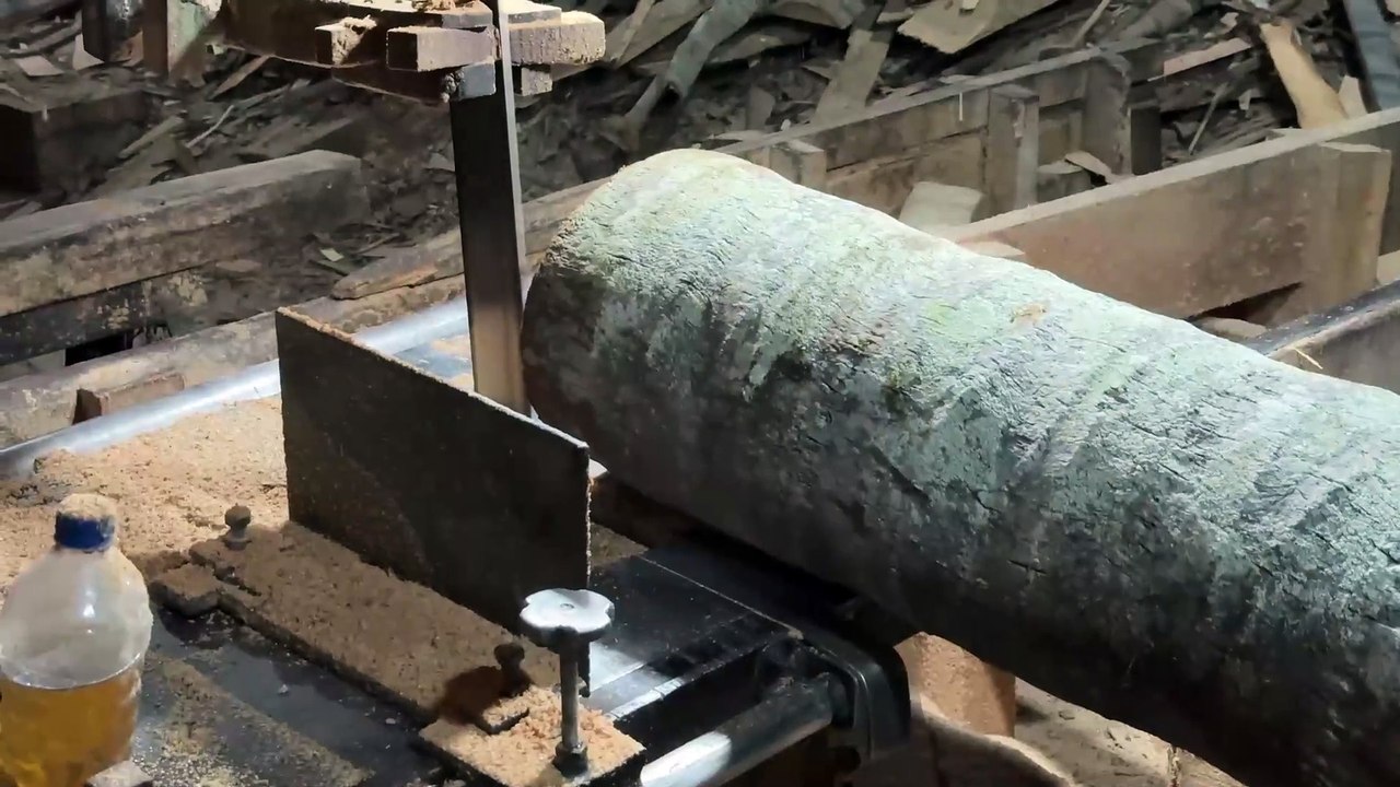 Sawmill Project Turns Coconut Trees into Wood 2x20