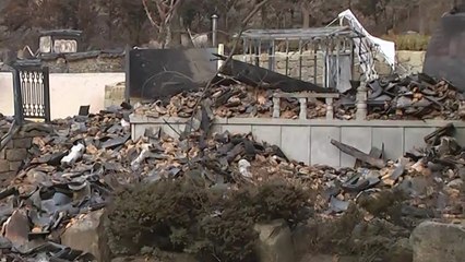 불타 사라진 고운사 '가운루'...안타까운 발걸음 줄이어 / YTN