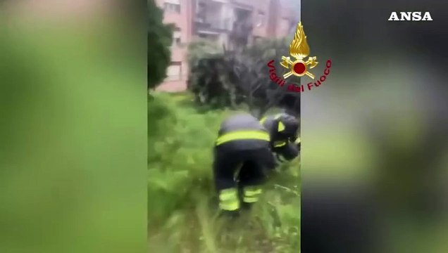 Maltempo nel Messinese, oltre 40 interventi dei vigili del fuoco