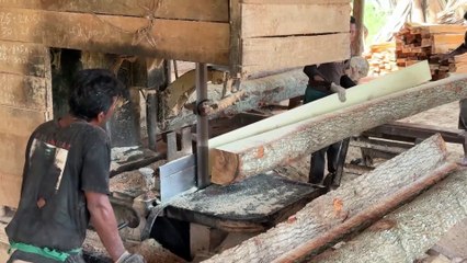 Using a Sawmill Machine to Cut 2x20 Wood
