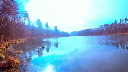 Beautiful Birdsong Secret Lake  4K