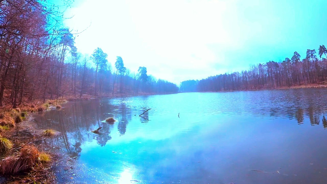 Beautiful Birdsong Secret Lake  4K