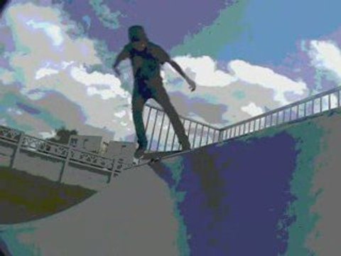 Skate normandie 2008