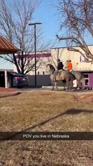 Horse riding through the drive thru #shorts #funny #horseriding