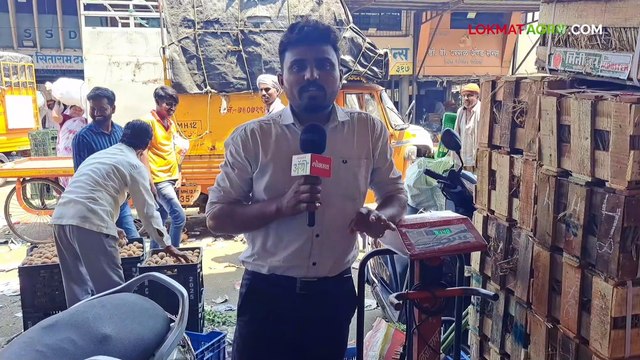 हापूस आंबा बाजारात दाखल! शेतकऱ्यांना किती मिळतोय दर?