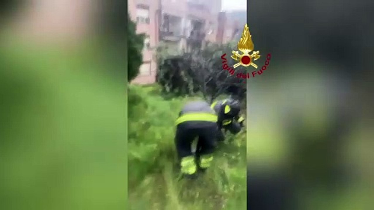 Il video degli interventi dei vigili del fuoco in provincia di Messina per il maltempo