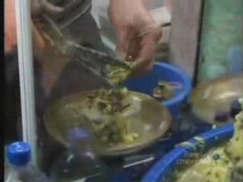 La richesse de La gastronomie Marocaine 3 Riad Hannaoui