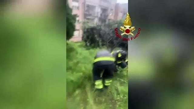 Messina - Maltempo: frane, allagamenti e alberi caduti, le immagini dei Vigili del Fuoco (29.03.25)