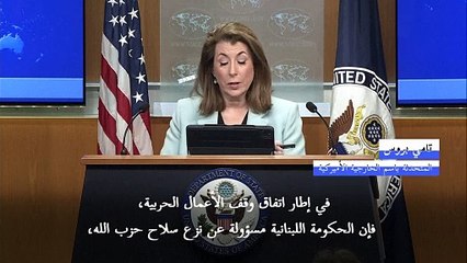 واشنطن تحض الجيش اللبناني على نزع سلاح حزب الله