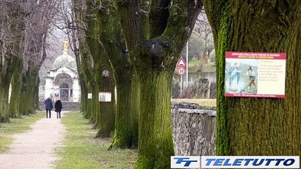 Video News - La Piazza del Giubileo