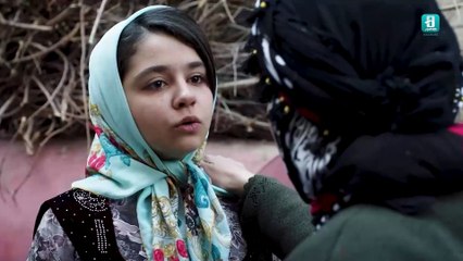 کارو | فیلمی درباره افتخار، ورزش و تصمیمی سخت…