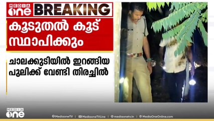 ചാലക്കുടിയിൽ ഇറങ്ങിയ പുലിയെ പിടികൂടാൻ കൂടുതൽ കൂടുകൾ സ്ഥാപിക്കാൻ തീരുമാനം
