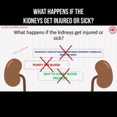 What happens if the kidneys get injured or sick?