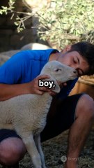 Epic Bible Story in 60 Seconds! 2025-03-29 (1)