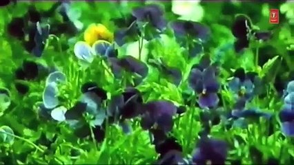 Chal Chaliye Wahan Pe /1993 Muqabla /Abhijeet, Sonu Nigam