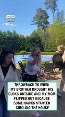 Lach dich schlapp mit Lustige Pfoten Ч. 23