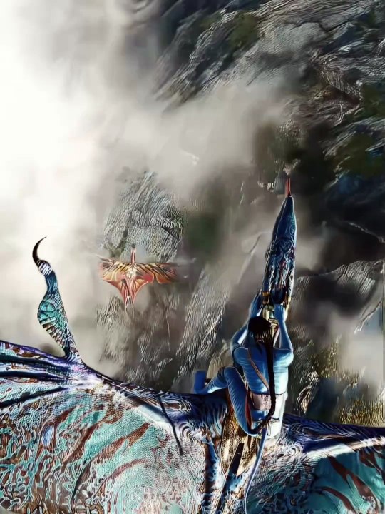 The best edit video!!!