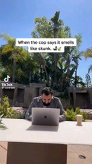 When the cop says it smells like skunk