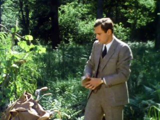 Le Jour le Plus Court - 1983