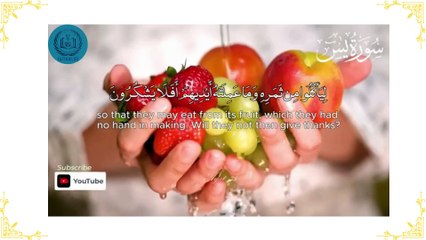 Surah Yaseen  #Qari_Tareq_Mohammed  سورة يس  القارئ طارق محمد Quran recitation 1