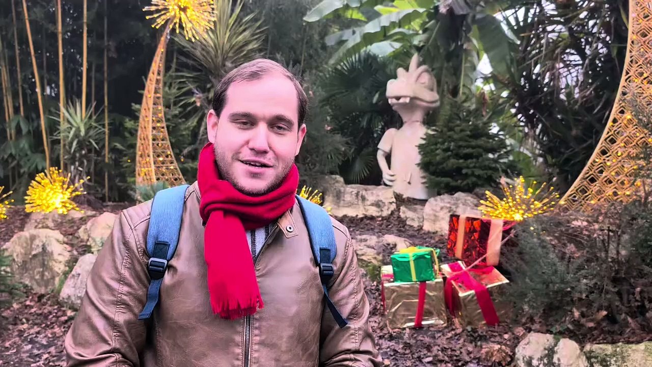 Retour à Walygator Sud-Ouest pour Noël : l'exemple parfait d'une bonne idée totalement ratée...