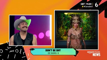 ¿Canciones de Karol G son plagios?