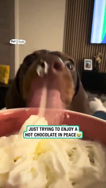 When youre just trying to enjoy your hot chocolate