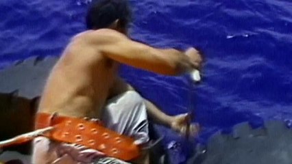 Air Crash Investigation - Fanning the Flames