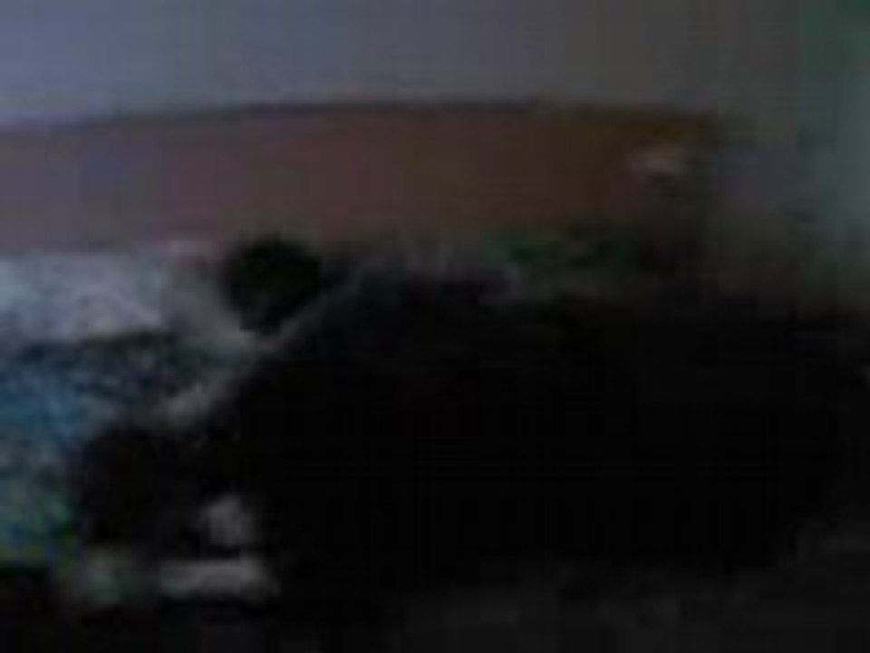 th0m et ge0 qui se battent come des filles