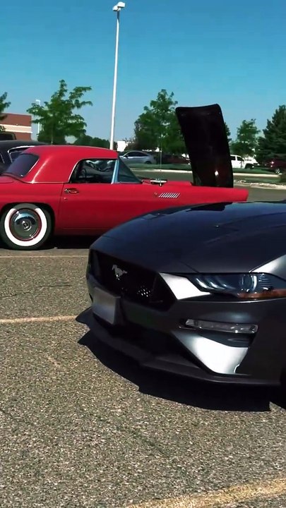 carlove4u @BackbenchersMillionaire5⁩  #millionaire #love #foryou #carstatus #carshorts #viralshorts#fyp#foryou#humor#funny#pov#tiktok#memes#viralvideo#viralshorts