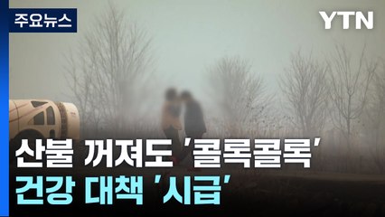 산불 꺼져도 '콜록콜록'...건강 대책 '시급' / YTN