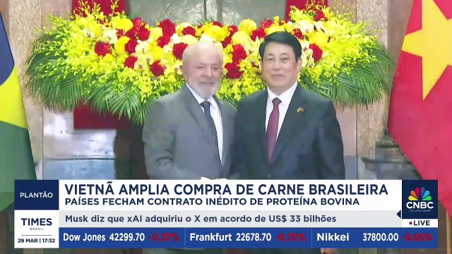 Alta mundial do cacau impacta custos do chocolate e vendas da Páscoa | PLANTÃO TIMES BRASIL