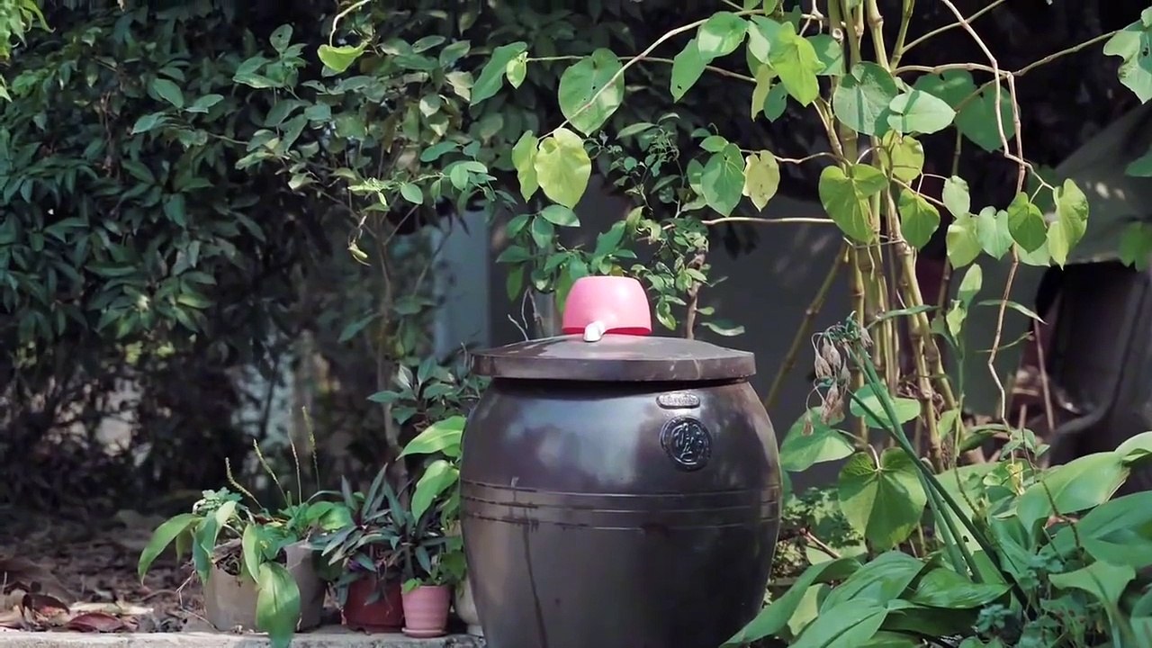 Countryside Life of a Village Girl