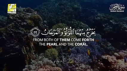 World's most beautiful recitation of Surah Ar-Rahman (سورة الرحمن)  _ Kalam e Islam