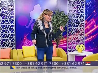 Sneki - Ja nisam prva ni poslednja