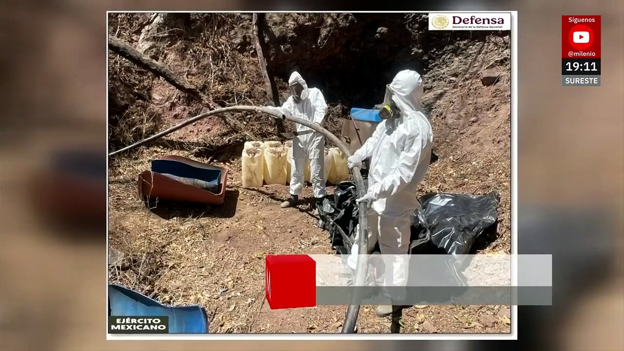 En Sinaloa, Fuerzas Federales y Estatales desmantelan 11 laboratorios clandestinos
