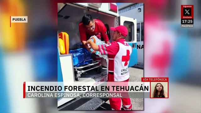 Incendio forestal en Tehuacán deja al menos 20 hectáreas afectadas