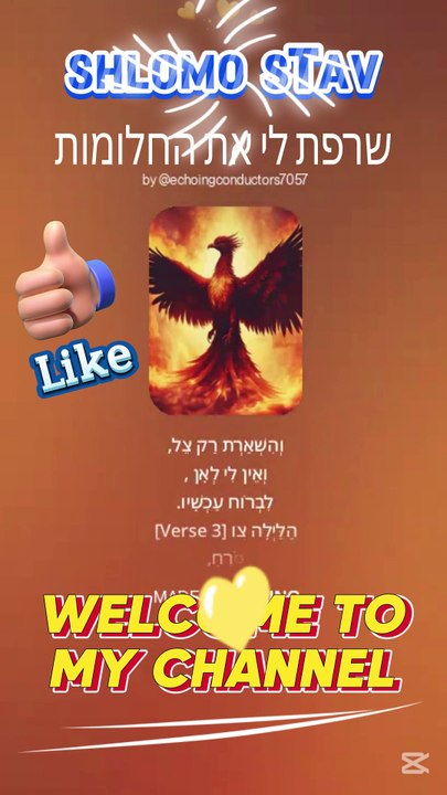 שרפת לי את החלומות-stav.sh