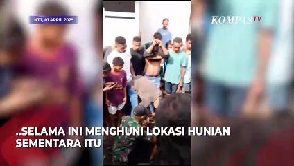 Momen Warga Menemukan Peluru dan Granat di Pengungsian Erupsi Gunung Lewotobi