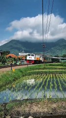 Kasih sapa dari atas