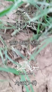 Quran Surah Al-Baqarah verse 1-5. Quran recitations