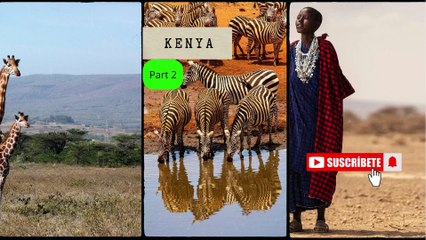 Discover Kenya: A Journey Through Nature, History & Traditions