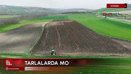 Leyleklerin büyük göçü başladı: İstanbul'da bahar molası