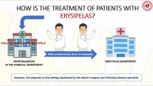 How is the treatment of patients with erysipelas?