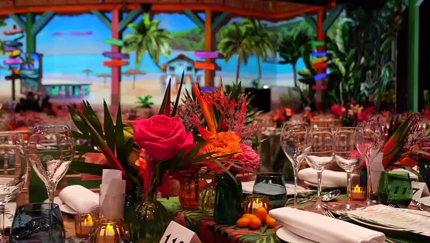 Video Ballo della Rosa 2025: gli arrivi e lo spettacolo caraibico